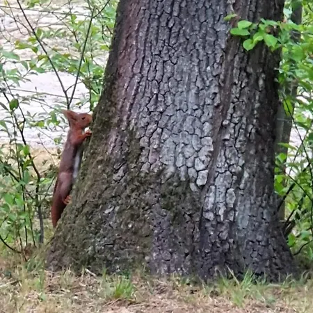 Beekje - Rolstoelvriendelijk En Comfortabel 8p * Otterlo