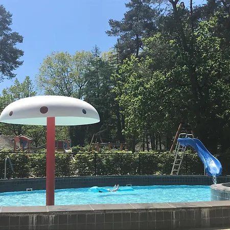 Beekje - Rolstoelvriendelijk En Comfortabel 8p Holiday home