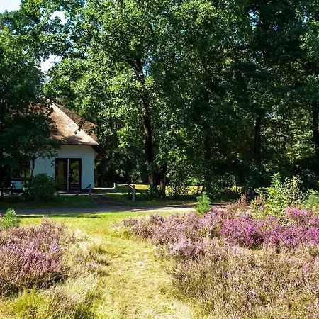 Beekje - Rolstoelvriendelijk En Comfortabel 8p *