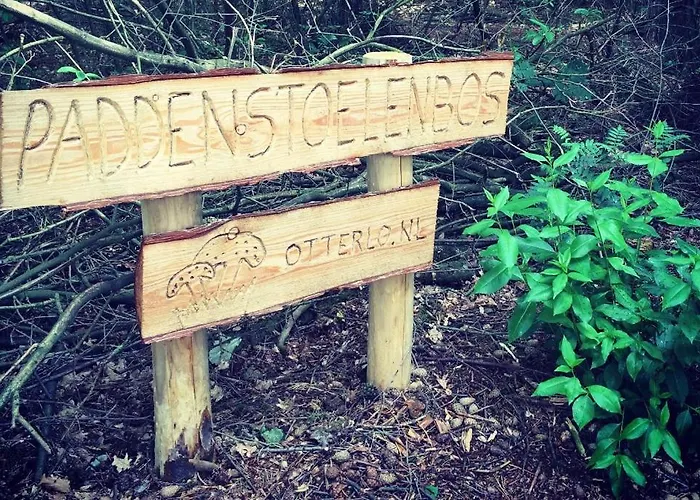 Semesterbostad Beekje - Rolstoelvriendelijk En Comfortabel 8p *