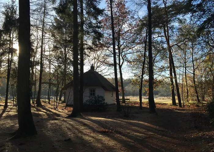 Beekje - Rolstoelvriendelijk En Comfortabel 8p