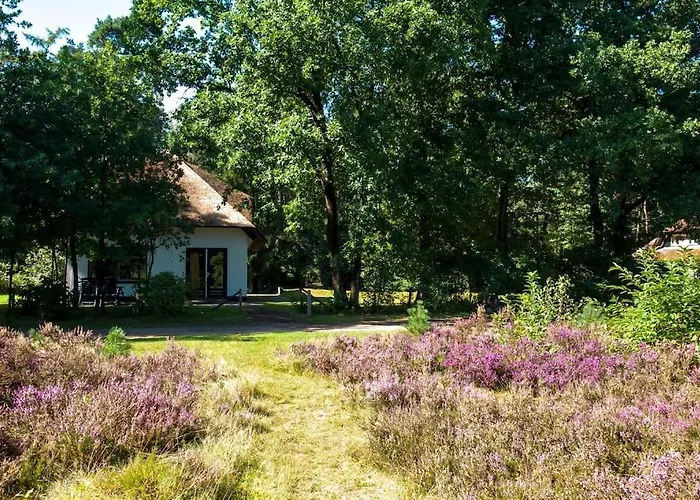 Beekje - Rolstoelvriendelijk En Comfortabel 8p *