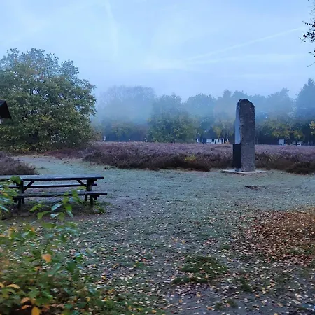 Beekje - Rolstoelvriendelijk En Comfortabel 8p Holiday home