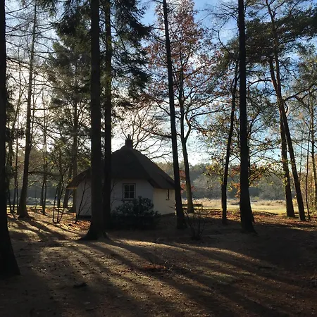 Beekje - Rolstoelvriendelijk En Comfortabel 8p