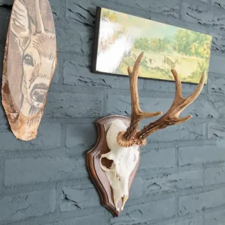 Holiday home Beekje - Rolstoelvriendelijk En Comfortabel 8p *