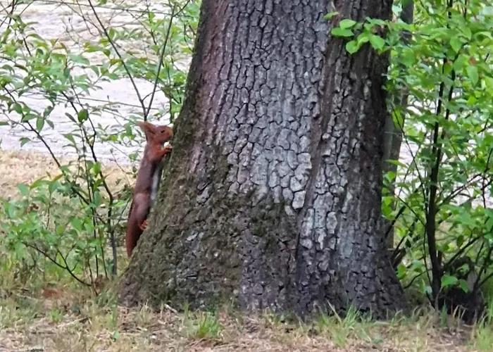 Beekje - Rolstoelvriendelijk En Comfortabel 8p * Otterlo