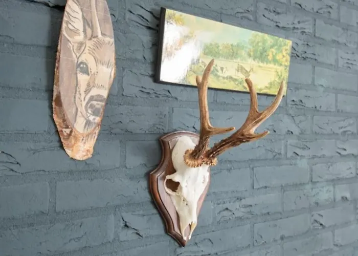 Casa de Férias Beekje - Rolstoelvriendelijk En Comfortabel 8p *